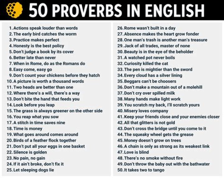 Explore The Weird Proverbs Bible Today!