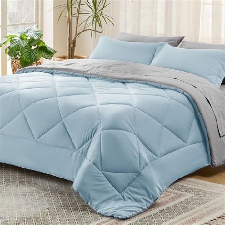 The Ultimate Guide To Bedsure Comforters